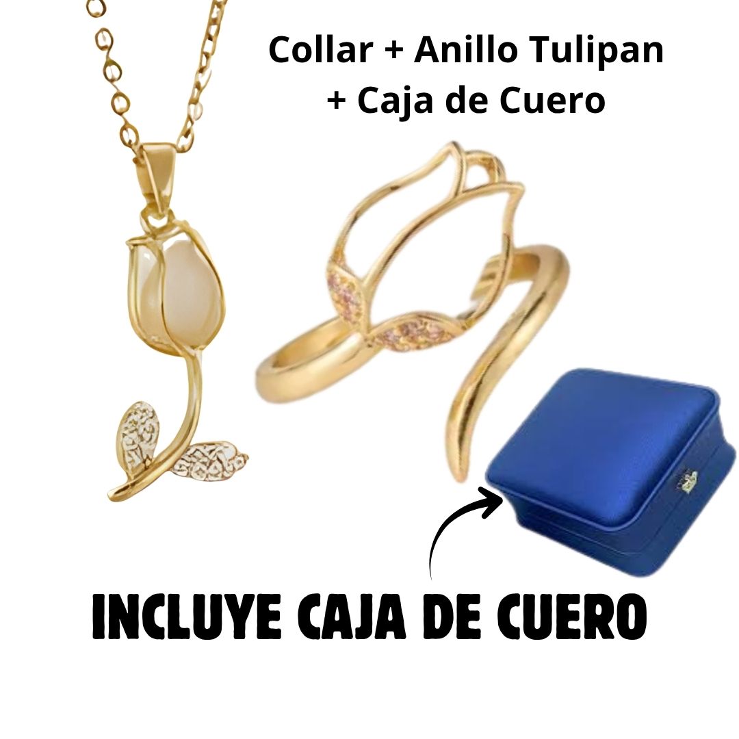 Combo Tulipan + CAJA CUERO AZUL